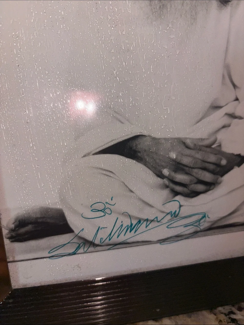 Sri Swami Satchidanda~ Autographed  Portrait in Frame Vintage ~ Authenticated